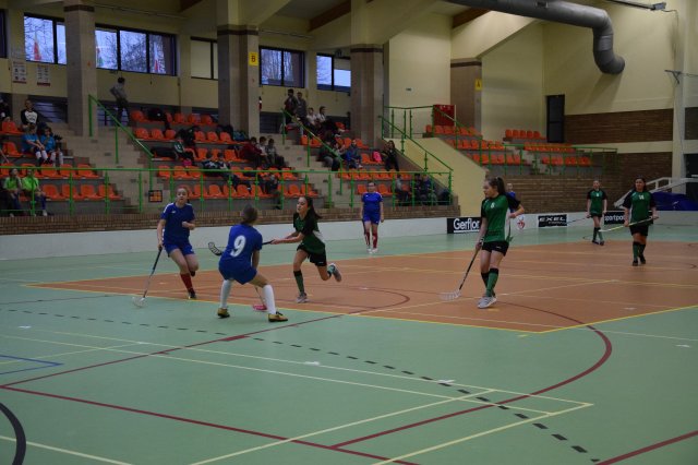 igdzuni 16